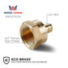 1/2" PEX x 3/4" FNPT Brass Adapter Eco Brass